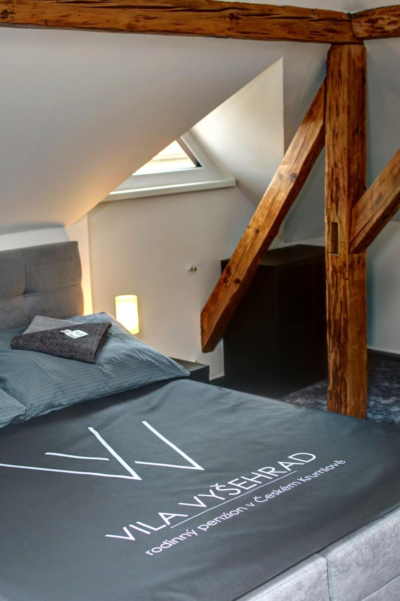 Vila Vysehrad Český Krumlov 外观 照片